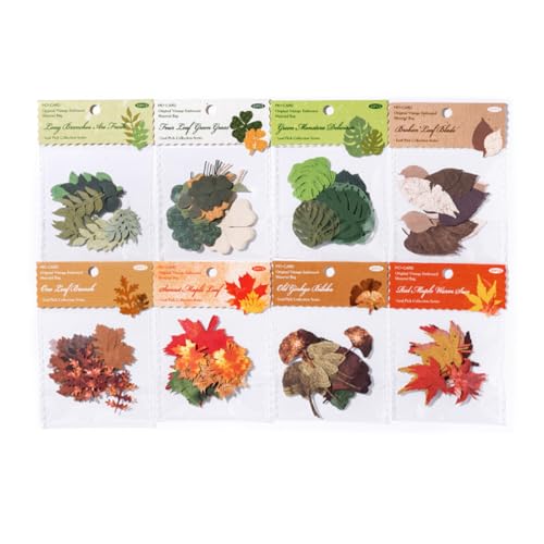 ZXMNBH 30 Stück/Packung Ein Blatt auf einem Ast Papier für Scrapbooking Kit Junk Journaling Supplies Journals Medientagebuch Planer Collage Karte Verzierungen Sets Papier Handwerk ZXMNBH 30 Stück/Packung Ein Blatt auf einem Ast Papier für Scrapbooking Kit Junk Journaling Supplies Journals Medientagebuch Planer Collage Karte Verzierungen Sets Papier Handwerk von ZXMNBH