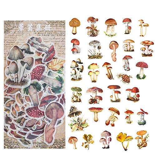 ZXMNBH Aufkleber für Scrapbooking, Pilz, ästhetisches Papier, Tagebuch, Planer, Junk, Bullet Journaling, dekoratives Zubehör, 60 Stück/Packung ZXMNBH Aufkleber für Scrapbooking, Pilz, ästhetisches Papier, Tagebuch, Planer, Junk, Bullet Journaling, dekoratives Zubehör, 60 Stück/Packung von ZXMNBH