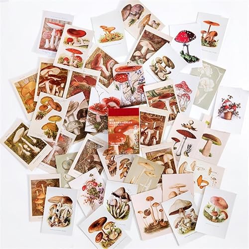 ZXMNBH Aufkleber für Scrapbooking, Pilz, ästhetisches Papier, Tagebuch, Planer, Junk Bullet Journaling, dekoratives Zubehör, 50 Stück/Packung ZXMNBH Aufkleber für Scrapbooking, Pilz, ästhetisches Papier, Tagebuch, Planer, Junk Bullet Journaling, dekoratives Zubehör, 50 Stück/Packung von ZXMNBH