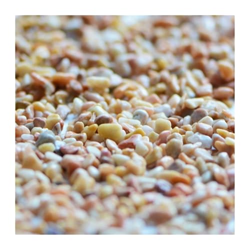ZYAGH Aquarium Dekorationssteine 100 g Mikro-Landschafts-Aquarium, Hydrokultur-Pflanzendekoration, Landschaftsbau, Glasperlen, Glas, Sand, Flusssand, gelber Stein FüR Aquarien(Color-19) von ZYAGH