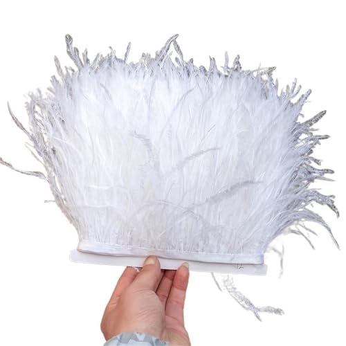 1/5/10 Meter Straußenfederbesatz Kleid for Frauen Weiche Federn Fransen Hochzeitsrock Dekoration Party Stoffband für Bastelarbeiten Hochzeit Party Dekoration(Dark Gray,10meters) von ZYFHYU