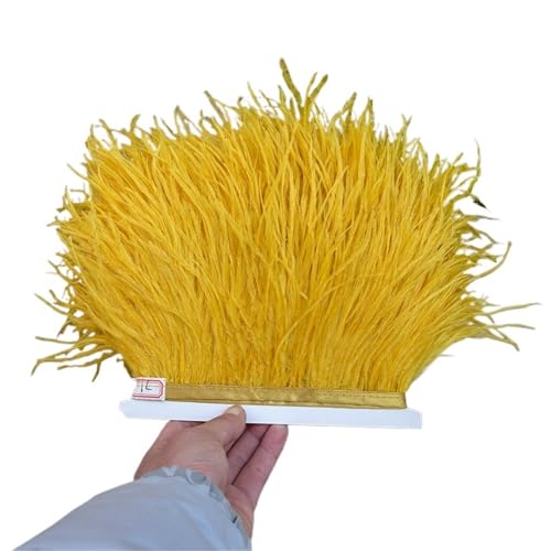 1/5/10 Meter Straußenfederbesatz Kleid for Frauen Weiche Federn Fransen Hochzeitsrock Dekoration Party Stoffband für Bastelarbeiten Hochzeit Party Dekoration(Orange,5meters) von ZYFHYU