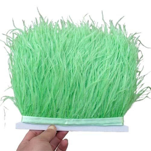 1/5/10 Meter Straußenfederbesatz Kleid for Frauen Weiche Federn Fransen Hochzeitsrock Dekoration Party Stoffband für Bastelarbeiten Hochzeit Party Dekoration(Red,10meters) von ZYFHYU