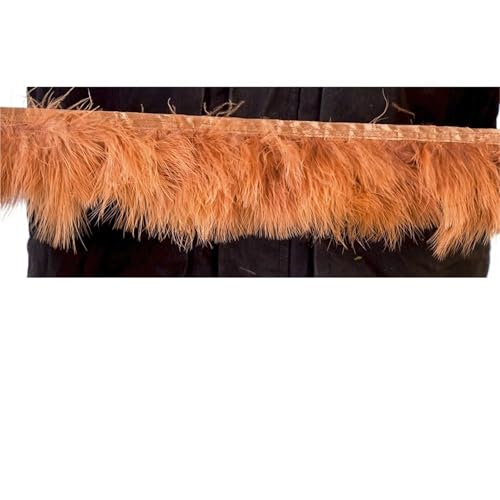 1 Meter Flauschige Federn, Fransenband, 10–15 cm, Feder auf Band, Fransen, Nähen, Party, Kleidung, Kleid, Dekoration für Bastelarbeiten Hochzeit Party Dekoration(Brown) von ZYFHYU