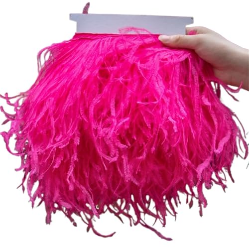 1 Meter Straußenfederbesatz 10–15/15–18/18–22 cm Federn-Fransenband for Zuhause, Party, Kleid, Nähen, Hochzeitsdekoration für Bastelarbeiten Hochzeit Party Dekoration(Light Pink,10-15 cm 4-6 inches) 1 Meter Straußenfederbesatz 10–15/15–18/18–22 cm Federn-Fransenband for Zuhause, Party, Kleid, Nähen, Hochzeitsdekoration für Bastelarbeiten Hochzeit Party Dekoration(Light Pink,10-15 cm 4-6 inches) von ZYFHYU
