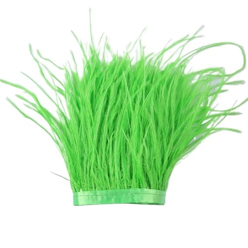 1 m, 6–22 cm, Straußenfedern, Besatz for Hochzeitskleid, Kleidung, Accessoires, Party-Dekoration, Pflaumenfransen für Bastelarbeiten Hochzeit Party Dekoration(Green2,8-10 cm) von ZYFHYU