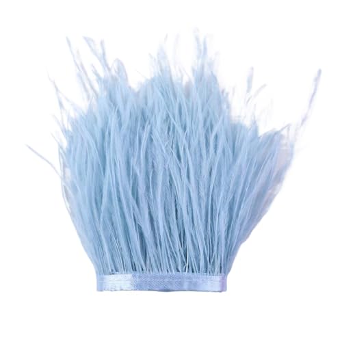 1 m, 6–22 cm, Straußenfedern, Besatz for Hochzeitskleid, Kleidung, Accessoires, Party-Dekoration, Pflaumenfransen für Bastelarbeiten Hochzeit Party Dekoration(Light Blue,6-8 cm) von ZYFHYU