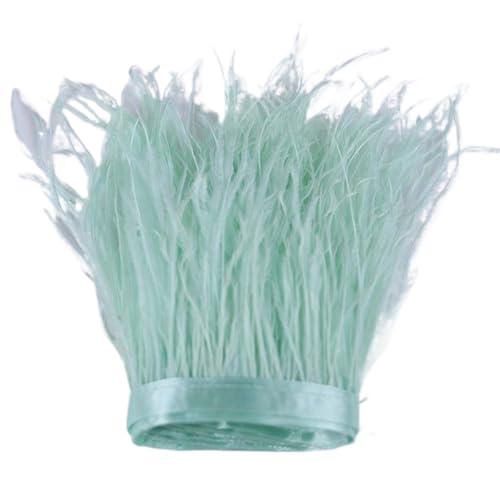 1 m, 6–22 cm, Straußenfedern, Besatz for Hochzeitskleid, Kleidung, Accessoires, Party-Dekoration, Pflaumenfransen für Bastelarbeiten Hochzeit Party Dekoration(Mint Green,18-22 cm) von ZYFHYU