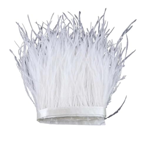 1 m, 6–22 cm, Straußenfedern, Besatz for Hochzeitskleid, Kleidung, Accessoires, Party-Dekoration, Pflaumenfransen für Bastelarbeiten Hochzeit Party Dekoration(Natural White,8-10 cm) von ZYFHYU
