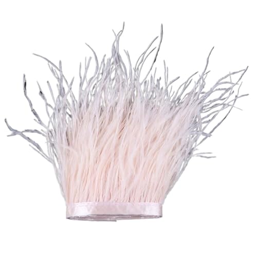 1 m, 6–22 cm, Straußenfedern, Besatz for Hochzeitskleid, Kleidung, Accessoires, Party-Dekoration, Pflaumenfransen für Bastelarbeiten Hochzeit Party Dekoration(Pink,18-22 cm) von ZYFHYU