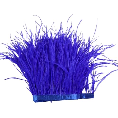 1 m, 6–22 cm, Straußenfedern, Besatz for Hochzeitskleid, Kleidung, Accessoires, Party-Dekoration, Pflaumenfransen für Bastelarbeiten Hochzeit Party Dekoration(ROYAL Blue,18-22 cm) von ZYFHYU