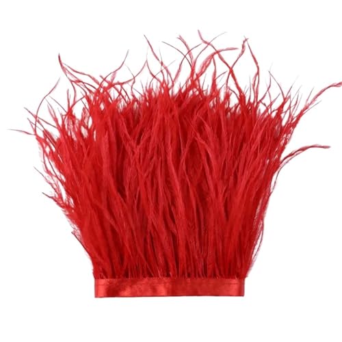 1 m, 6–22 cm, Straußenfedern, Besatz for Hochzeitskleid, Kleidung, Accessoires, Party-Dekoration, Pflaumenfransen für Bastelarbeiten Hochzeit Party Dekoration(Red,18-22 cm) von ZYFHYU