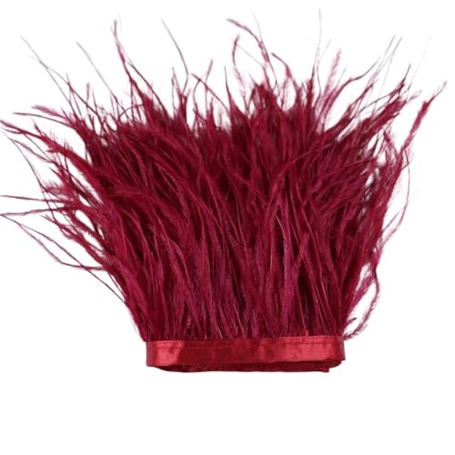 1 m, 6–22 cm, Straußenfedern, Besatz for Hochzeitskleid, Kleidung, Accessoires, Party-Dekoration, Pflaumenfransen für Bastelarbeiten Hochzeit Party Dekoration(Red2,10-15CM) von ZYFHYU