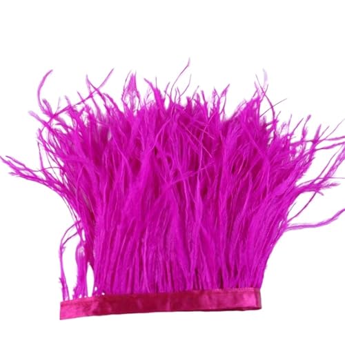 1 m, 6–22 cm, Straußenfedern, Besatz for Hochzeitskleid, Kleidung, Accessoires, Party-Dekoration, Pflaumenfransen für Bastelarbeiten Hochzeit Party Dekoration(Rose red,18-22 cm) von ZYFHYU