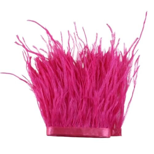 1 m, 6–22 cm, Straußenfedern, Besatz for Hochzeitskleid, Kleidung, Accessoires, Party-Dekoration, Pflaumenfransen für Bastelarbeiten Hochzeit Party Dekoration(Watermelon red,18-22 cm) von ZYFHYU