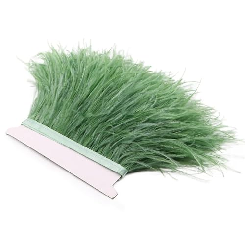 1 m Flauschige Straußenfedern, Fransenbesatz, 8–10 cm, Hochzeitsfeier, Dekoration, Federband for Kleid, Kleidung, Nähen, Basteln für Bastelarbeiten Hochzeit Party Dekoration(Green1) von ZYFHYU