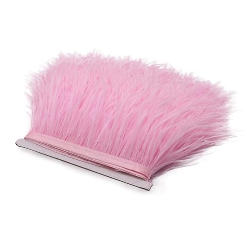 1 m Flauschige Straußenfedern, Fransenbesatz, 8–10 cm, Hochzeitsfeier, Dekoration, Federband for Kleid, Kleidung, Nähen, Basteln für Bastelarbeiten Hochzeit Party Dekoration(Pink) von ZYFHYU