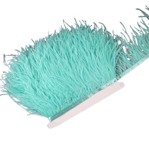 10–15 cm Straußenfedern auf Band, , Fransenbesatz for Nähen von Garnituren, Federn in Kleidern, Kostümen für Bastelarbeiten Hochzeit Party Dekoration(2,10 Meters) von ZYFHYU