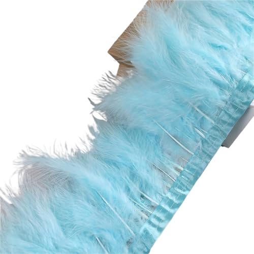10 Meter Federbesatzband, Federfransen for Hochzeitskleid, Dekor, Nähzubehör für Bastelarbeiten Hochzeit Party Dekoration(Color 3) von ZYFHYU