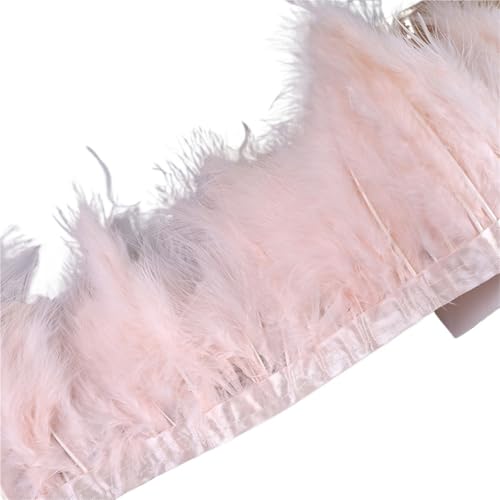 10 Meter Federbesatzband, Federfransen for Hochzeitskleid, Dekor, Nähzubehör für Bastelarbeiten Hochzeit Party Dekoration(Pink2) von ZYFHYU