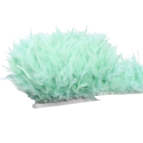 10 Meter Flauschige Federn, Quasten, Fransenbesatz, Band, Feder auf , Nähen, Besatz, Kleidung, Kleid, Dekoration für Bastelarbeiten Hochzeit Party Dekoration(12.Mint Green) von ZYFHYU