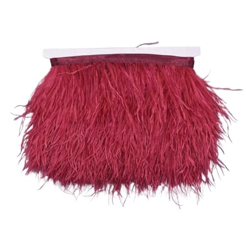 10 Meter Straußenfedern auf Band, , Fransenbesatz, 8–10 cm, Bastelzubehör, , Nähbesatz für Bastelarbeiten Hochzeit Party Dekoration(NO. 11) von ZYFHYU