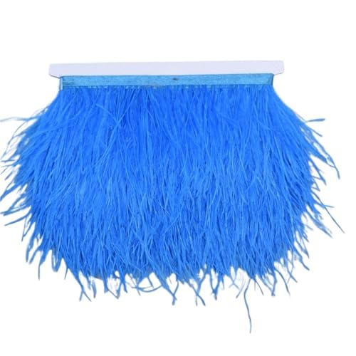 10 Meter Straußenfedern auf Band, , Fransenbesatz, 8–10 cm, Bastelzubehör, , Nähbesatz für Bastelarbeiten Hochzeit Party Dekoration(NO. 14) von ZYFHYU