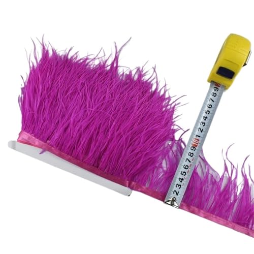 1M 5M 10M 8-10CM Straußenfedern Borten Band Rock DIY Kleidung for Basteln Federn für Bastelarbeiten Hochzeit Party Dekoration(10 Rose Red,1 Meter) von ZYFHYU