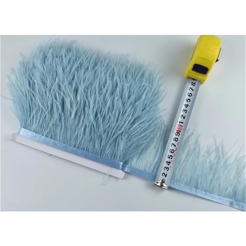 1M 5M 10M 8-10CM Straußenfedern Borten Band Rock DIY Kleidung for Basteln Federn für Bastelarbeiten Hochzeit Party Dekoration(22 Light Blue,5 Meters) von ZYFHYU