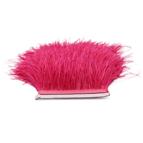 1M 5M 10M 8-10cm Straußenfederborte Band Mehrfarbige Feder for Nähen von Federn Basteln Kleid Kleidung Dekoration für Bastelarbeiten Hochzeit Party Dekoration(West Red,10m) von ZYFHYU