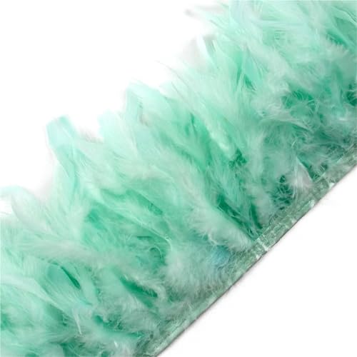 2 Meter Federbesatz, Fransen, Höhe 10–15 cm, Hochzeit, Kleidung, Kleid, Dekoration, DIY, Federband, Nähen, Basteln für Bastelarbeiten Hochzeit Party Dekoration(Light Blue) von ZYFHYU