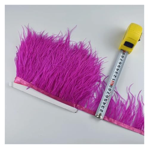 2 Meter echte Straußenfedern, Fransen, for Kleidung, Bandbesatz, Federrock, Federdekoration für Bastelarbeiten Hochzeit Party Dekoration(Colour 10) von ZYFHYU