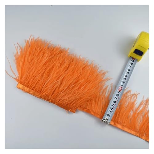 2 Meter echte Straußenfedern, Fransen, for Kleidung, Bandbesatz, Federrock, Federdekoration für Bastelarbeiten Hochzeit Party Dekoration(Colour 13) von ZYFHYU