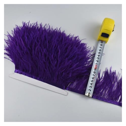 2 Meter echte Straußenfedern, Fransen, for Kleidung, Bandbesatz, Federrock, Federdekoration für Bastelarbeiten Hochzeit Party Dekoration(Colour 16) von ZYFHYU