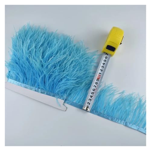 2 Meter echte Straußenfedern, Fransen, for Kleidung, Bandbesatz, Federrock, Federdekoration für Bastelarbeiten Hochzeit Party Dekoration(Colour 29) von ZYFHYU