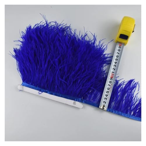 2 Meter echte Straußenfedern, Fransen, for Kleidung, Bandbesatz, Federrock, Federdekoration für Bastelarbeiten Hochzeit Party Dekoration(Colour 4) von ZYFHYU