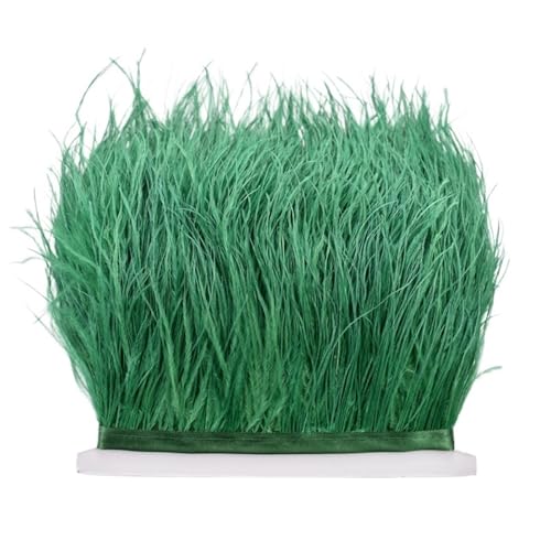 8–10 cm Straußenfederbesatz for Handarbeiten und Kunsthandwerk, Federrockdekoration, Federn, Bandfransen für Bastelarbeiten Hochzeit Party Dekoration(Dark Green,10Meters) von ZYFHYU