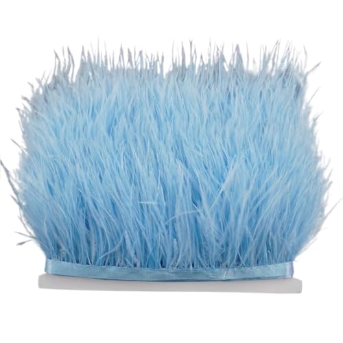 8–10 cm Straußenfederbesatz for Handarbeiten und Kunsthandwerk, Federrockdekoration, Federn, Bandfransen für Bastelarbeiten Hochzeit Party Dekoration(Light Blue,5Meters) von ZYFHYU