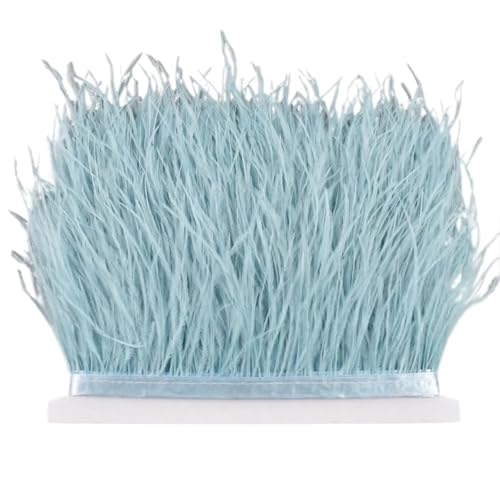 8–10 cm Straußenfederbesatz for Handarbeiten und Kunsthandwerk, Federrockdekoration, Federn, Bandfransen für Bastelarbeiten Hochzeit Party Dekoration(Light Sky Blue,5Meters) von ZYFHYU