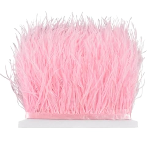 8–10 cm Straußenfederbesatz for Handarbeiten und Kunsthandwerk, Federrockdekoration, Federn, Bandfransen für Bastelarbeiten Hochzeit Party Dekoration(Light pink,10Meters) von ZYFHYU