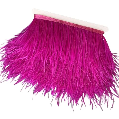 Straußenfedern-Besatz, 13–18 cm, 12,7–17,8 , Federfahnenband for DIY-Hochzeitskleid, Dekoration, Bastelzubehör für Bastelarbeiten Hochzeit Party Dekoration(12,10 Meters) von ZYFHYU