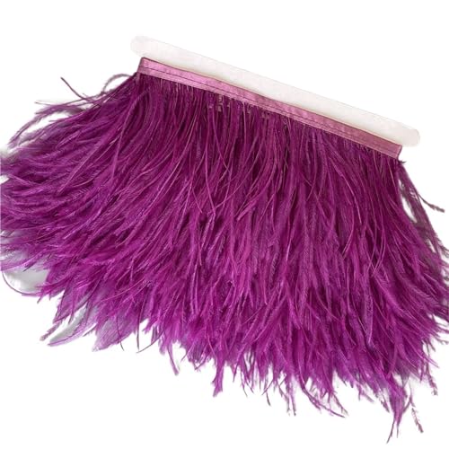 Straußenfedern-Besatz, 13–18 cm, 12,7–17,8 , Federfahnenband for DIY-Hochzeitskleid, Dekoration, Bastelzubehör für Bastelarbeiten Hochzeit Party Dekoration(8,6 Meters) von ZYFHYU