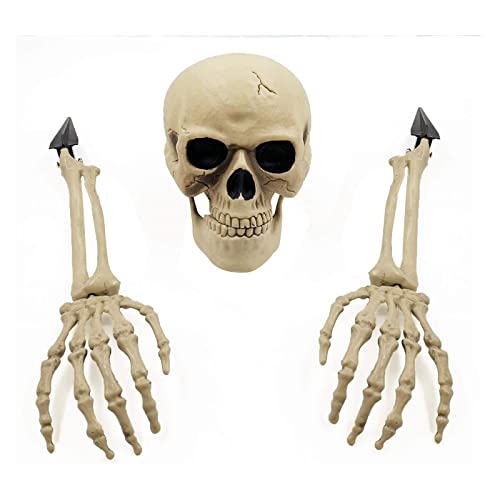 ZYLLZY 3-teiliges Halloween-Skelett-Kopf- und Hände-Set, Simulation, gefälschte Skelett-Kopf-Ornamente, gruseliges Kunststoff-Totenkopf-Skelett für drinnen und draußen, Halloween, Party, Spukhaus von ZYLLZY
