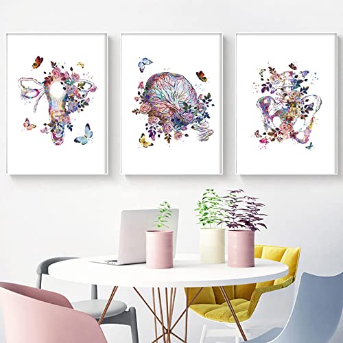 Aquarell Poster Anatomie Blumen Uterus Plazenta Kunst Malerei Leinwand Drucke Geburtshelfer Büro Dekoration-50x70cmx3 Rahmenlos von ZZBYTSYD