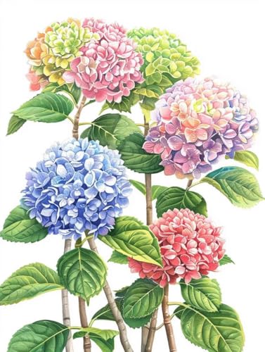 Diamond Painting Blume Diamond Painting Erwachsene, Crystal Art Anlage Mosaik Bastelset Erwachsene Anfänger 5D DIY Full Drill Cross Stickerei Kits für Deko Wohnzimmer, Geschenke (50x70cm) -g2503O0 von ZZGBDWOU