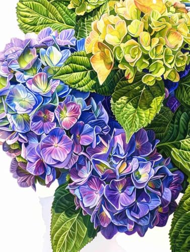 Diamond Painting Blume Diamond Painting Erwachsene, Crystal Art Anlage Mosaik Bastelset Erwachsene Anfänger 5D DIY Full Drill Cross Stickerei Kits für Deko Wohnzimmer, Geschenke 50cm x 70cm -g2503Z8 Diamond Painting Blume Diamond Painting Erwachsene, Crystal Art Anlage Mosaik Bastelset Erwachsene Anfänger 5D DIY Full Drill Cross Stickerei Kits für Deko Wohnzimmer, Geschenke 50cm x 70cm -g2503Z8 von ZZGBDWOU