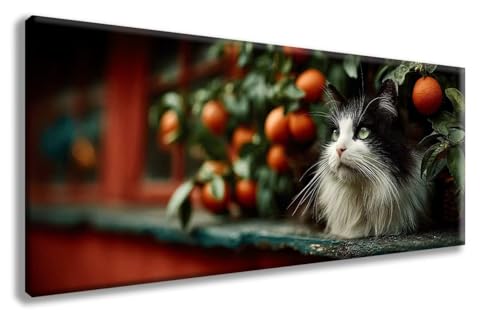 Katze Diamond Painting, Tiere Diamond Painting Erwachsene Groß XXL 90x180cm, 5D Runder Vollbohrer Diamant Crystal Art Bastelnset, Mosaik Bastel Erwachsene für Deko Schlafzimmer, Geschenke -zzg2508R3 Katze Diamond Painting, Tiere Diamond Painting Erwachsene Groß XXL 90x180cm, 5D Runder Vollbohrer Diamant Crystal Art Bastelnset, Mosaik Bastel Erwachsene für Deko Schlafzimmer, Geschenke -zzg2508R3 von ZZGBDWOU