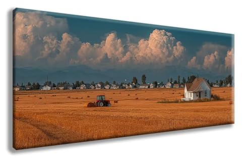 Landschaft Diamond Painting, Wiese Diamond Painting Erwachsene Groß XXL 50x100 cm, 5D Runder Vollbohrer Diamant Crystal Art Bastelnset, Mosaik Bastel Erwachsene für Deko Schlafzimmer -zzg25080F Landschaft Diamond Painting, Wiese Diamond Painting Erwachsene Groß XXL 50x100 cm, 5D Runder Vollbohrer Diamant Crystal Art Bastelnset, Mosaik Bastel Erwachsene für Deko Schlafzimmer -zzg25080F von ZZGBDWOU