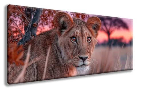 LöWe Diamond Painting, Tiere Diamond Painting Erwachsene Groß XXL 50x100 cm, 5D Runder Vollbohrer Diamant Crystal Art Bastelnset, Mosaik Bastel Erwachsene für Deko Schlafzimmer, Geschenke -zzg2508WM LöWe Diamond Painting, Tiere Diamond Painting Erwachsene Groß XXL 50x100 cm, 5D Runder Vollbohrer Diamant Crystal Art Bastelnset, Mosaik Bastel Erwachsene für Deko Schlafzimmer, Geschenke -zzg2508WM von ZZGBDWOU