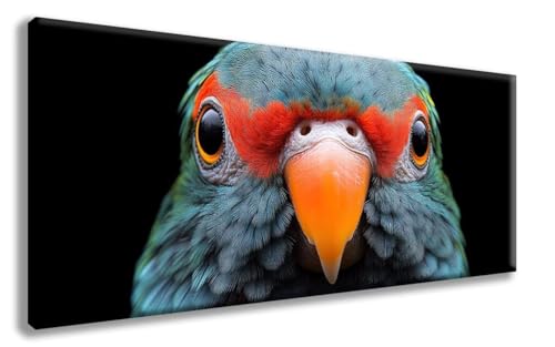 Papagei Diamond Painting, Tiere Diamond Painting Erwachsene Groß XXL 50x100cm, 5D Runder Vollbohrer Diamant Crystal Art Bastelnset, Mosaik Bastel Erwachsene für Deko Schlafzimmer, Geschenke -zzg250887 Papagei Diamond Painting, Tiere Diamond Painting Erwachsene Groß XXL 50x100cm, 5D Runder Vollbohrer Diamant Crystal Art Bastelnset, Mosaik Bastel Erwachsene für Deko Schlafzimmer, Geschenke -zzg250887 von ZZGBDWOU